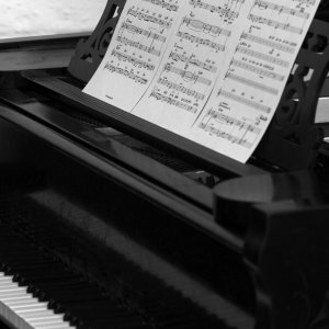 Tim Shawcross - Gig Calendar